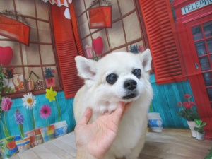 こじろうくん
