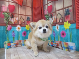 きょうたろうくん