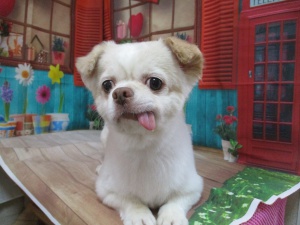 ララくん