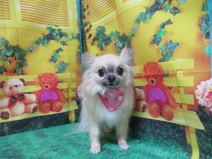 るんるんちゃん