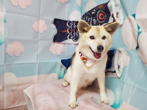 るんるんちゃん