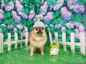 るんるんちゃん