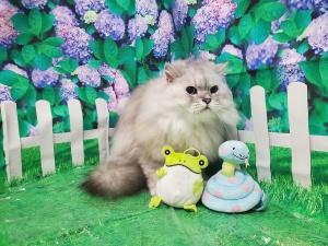 ヒカルくん