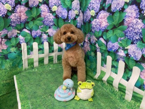 れおくん