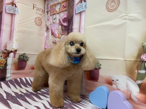 がんたくん