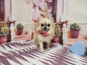 るんるんちゃん