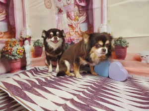 ののちゃんとここちゃん