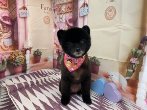 ゆうちゃん
