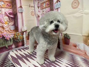 6くん