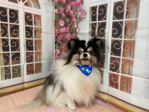 るんるんちゃん