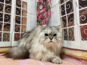 ヒカルくん