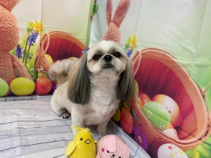 りんちゃん