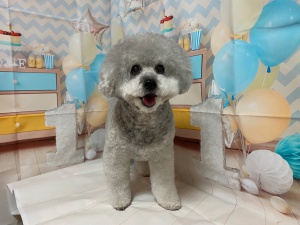 6くん