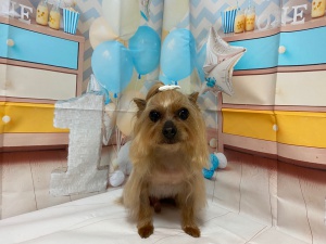 タケルくん